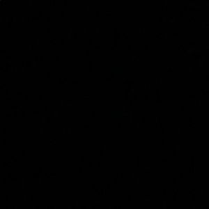 Meet your Posher, Alenea